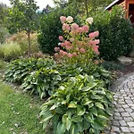Ferienhaus Montesasso