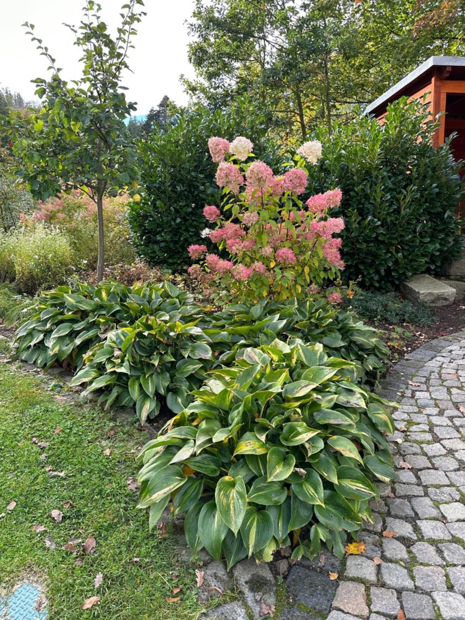 Ferienhaus Montesasso Ferienhaus *